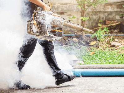 About Rat Control Goodland - rat control experts in Goodland