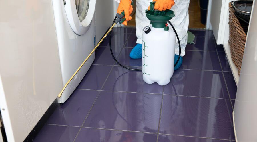 Why choose Rat Control Goodland for rat control in Goodland